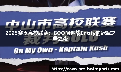 2025赛季高校联赛：BOOM迎战Entity的冠军之争之夜